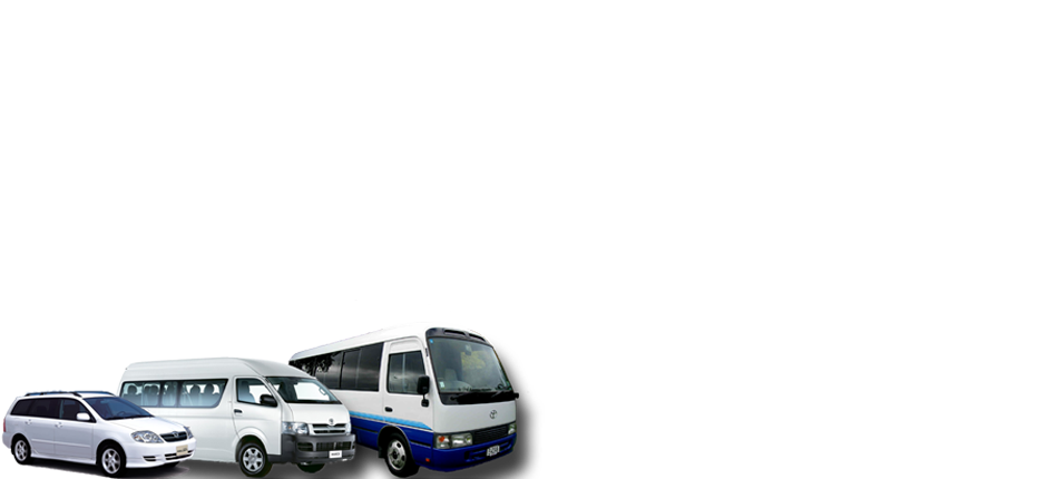 Montego Bay Jamaica Airport Transfers and Tours transportation