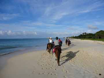 horseback riding in Jamaica
