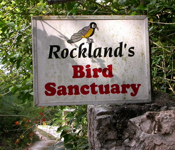 Jamaica Bird Sanctuary