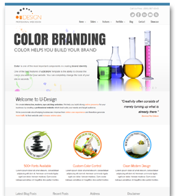 Montego Bay Jamaica Airport Transfers and Tours transportation