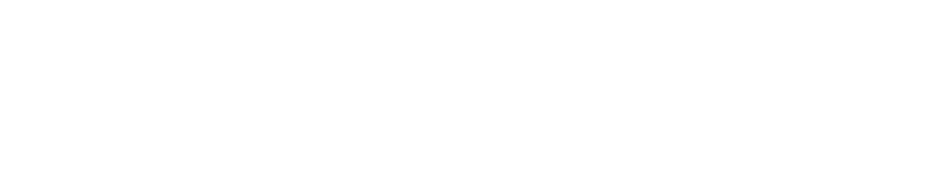 Montego Bay Jamaica Airport Transfers and Tours transportation