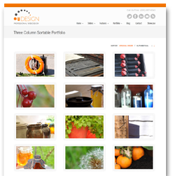 Montego Bay Jamaica Airport Transfers and Tours transportation