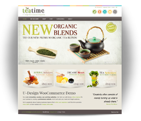 Montego Bay Jamaica Airport Transfers and Tours transportation