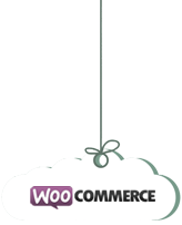 Montego Bay Jamaica Airport Transfers and Tours transportation