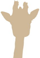 Montego Bay Jamaica Airport Transfers and Tours transportation