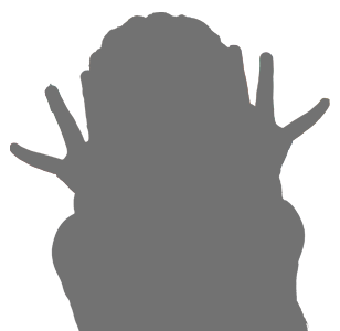 Montego Bay Jamaica Airport Transfers and Tours transportation